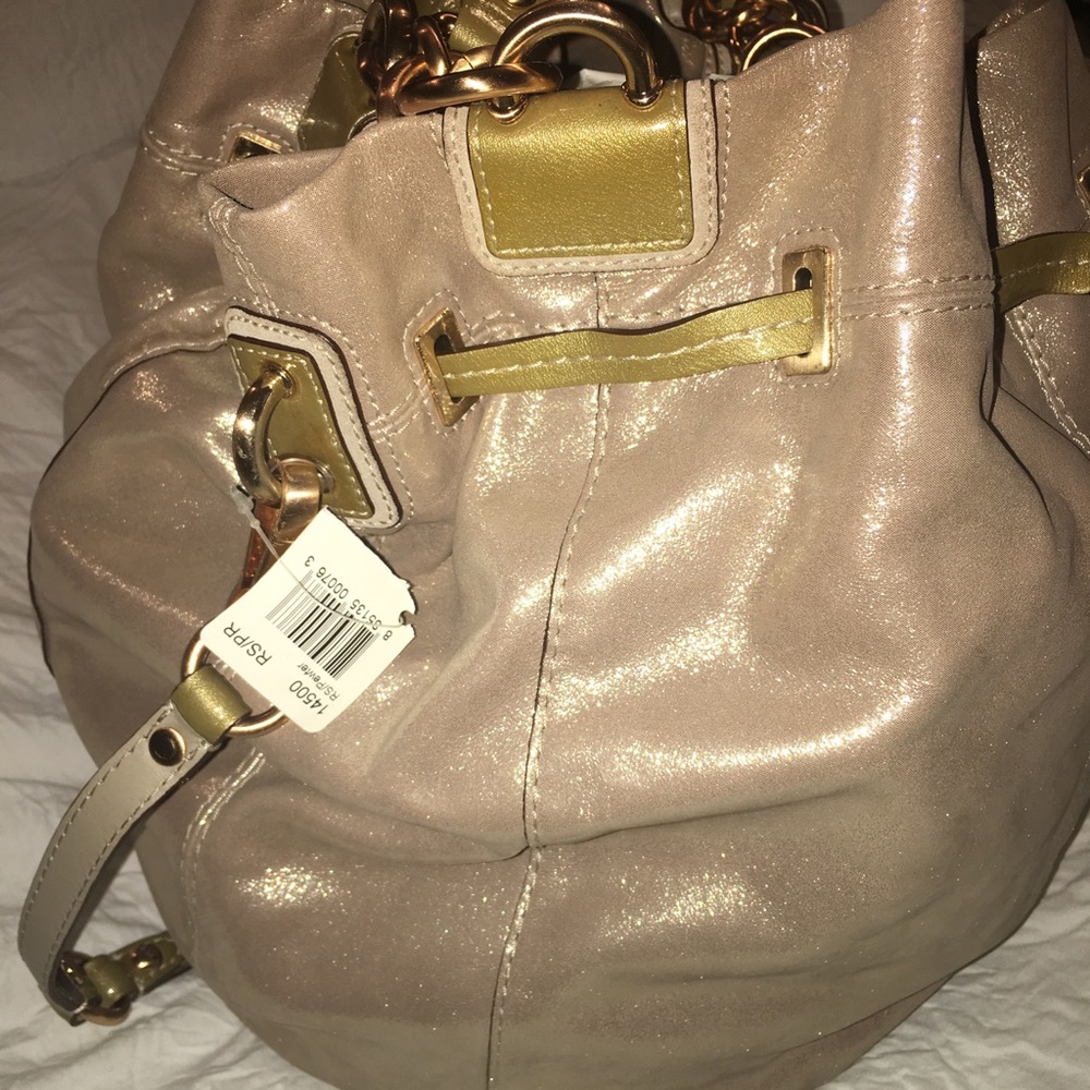 EXCLUSIVE Metallic Coach Bag w/Gold link